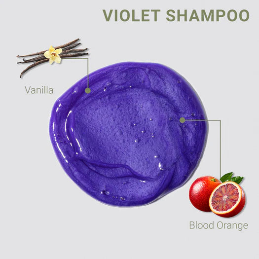 Loma Violet Shampoo and Conditioner - Professional Salon Brands