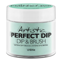 Artistic Perfect Dip Powder Charming 23gm