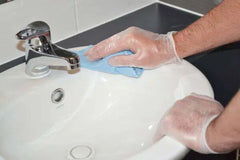 EcoClear Vinyl Disposable Gloves - Large - Professional Salon Brands