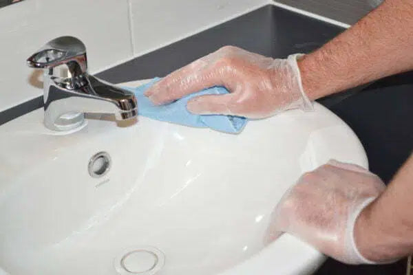 EcoClear Vinyl Disposable Gloves - Large - Professional Salon Brands