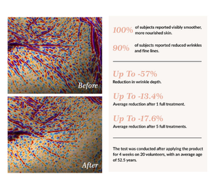 The Science of Skin Ageing:  A Professional Guide for Beauty Therapists