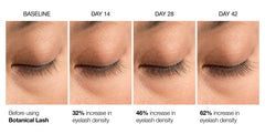 Contours Rx Botanical Lash & Brow Enhancing Serum