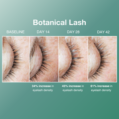 Contours Rx Botanical Lash & Brow Enhancing Serum