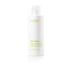 Vagheggi Bright Formula Regenerating Gel Facial Mask 200ml - Professional Salon Brands
