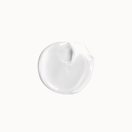 Vagheggi Delay Infinity Day Cream - Refill 50ml
