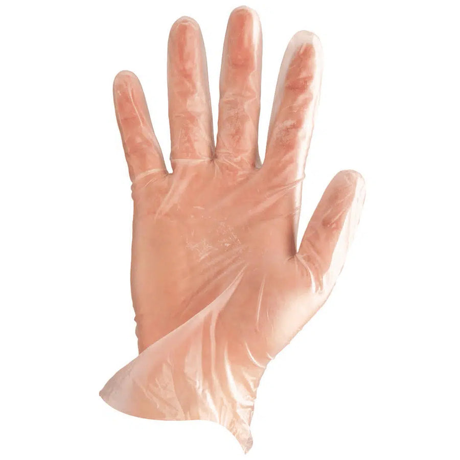 Vinyl Disposable Gloves - Large