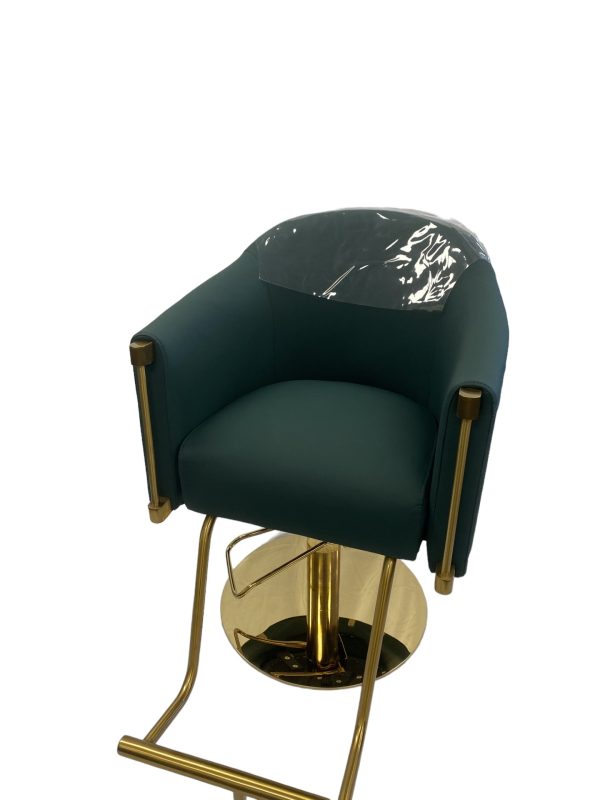 Karma Eden Salon Chair - Professional Salon Brands