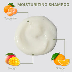 Loma Moisturizing Shampoo and Treatment - Professional Salon Brands