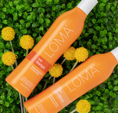 Loma Daily Shampoo and Conditioner - Professional Salon Brands