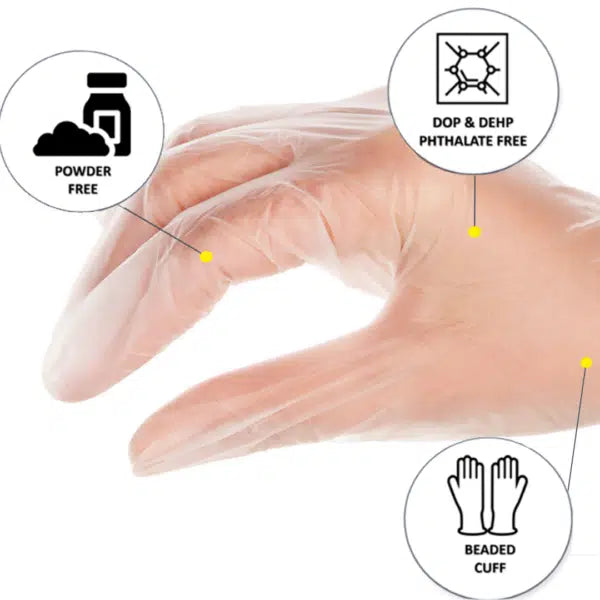EcoClear Vinyl Disposable Gloves - Large - Professional Salon Brands