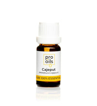 Pro Oils Cajeput Pure 100% Essential Oil