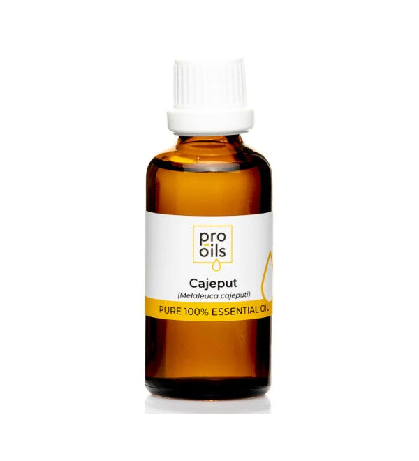 Pro Oils Cajeput Pure 100% Essential Oil