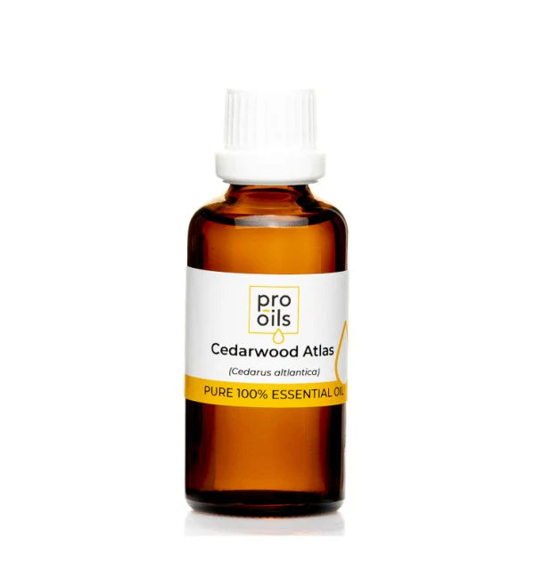 Pro Oils Cedarwood Atlas Pure 100% Essential Oil