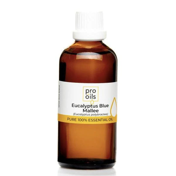 Pro Oils Eucalyptus Blue Mallee Pure 100% Essential Oil - Professional Salon Brands