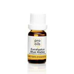 Pro Oils Eucalyptus Blue Mallee Pure 100% Essential Oil - Professional Salon Brands