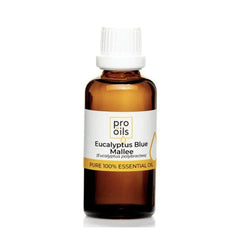 Pro Oils Eucalyptus Blue Mallee Pure 100% Essential Oil - Professional Salon Brands