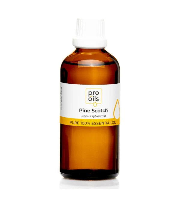 Pro Oils Pine Scotch Pure 100% Essential Oil - Professional Salon Brands