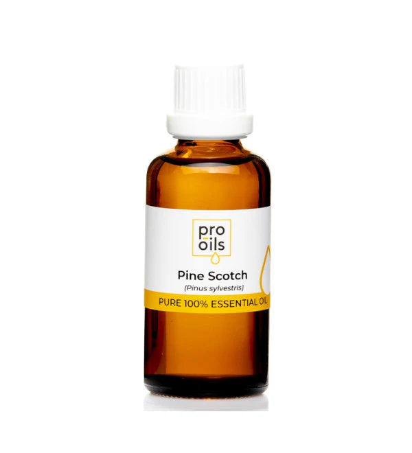 Pro Oils Pine Scotch Pure 100% Essential Oil