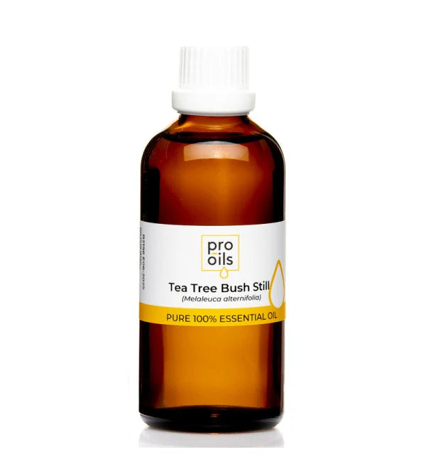 Pro Oils Tea Tree Bush Still Pure 100% Essential Oil - Professional Salon Brands
