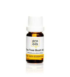 Pro Oils Tea Tree Bush Still Pure 100% Essential Oil - Professional Salon Brands