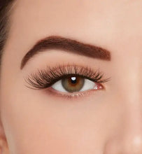 Load image into Gallery viewer, Ardell Active Lash - SOAK IT UP - Professional Salon Brands
