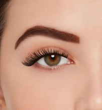 Load image into Gallery viewer, Ardell Active Lash - SPEEDY - Professional Salon Brands
