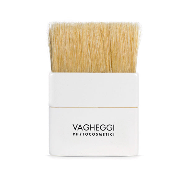 Vagheggi Body Treatment Brush - Professional Salon Brands