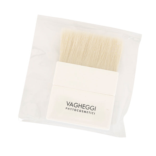 Vagheggi Body Treatment Brush - Professional Salon Brands