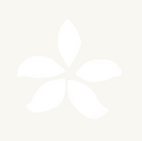 Q-Voe Orchid Stencil- 12 pack