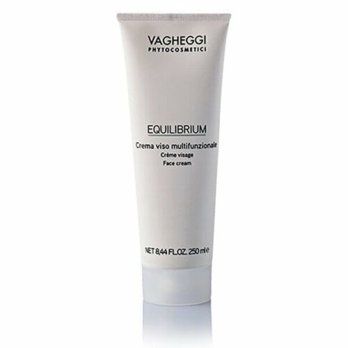 Vagheggi Equilibrium Face Cream 250ml - Professional Salon Brands