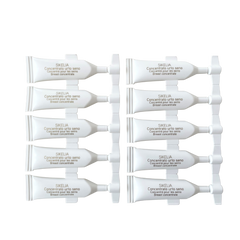 Vagheggi Sikelia Bust Professional Kit - Professional Salon Brands